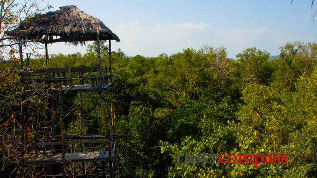 Tree top view - Ream National Park, Sihanoukville, Cambodia