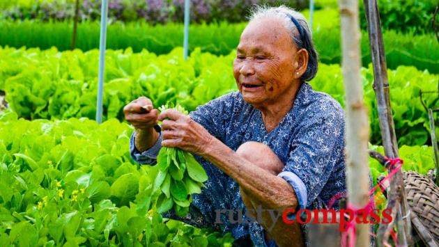 Tra Que Vegetable Garden, Hoi An