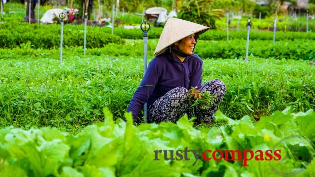 Tra Que Vegetable Garden, Hoi An