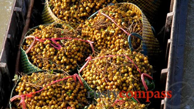 Longan to market