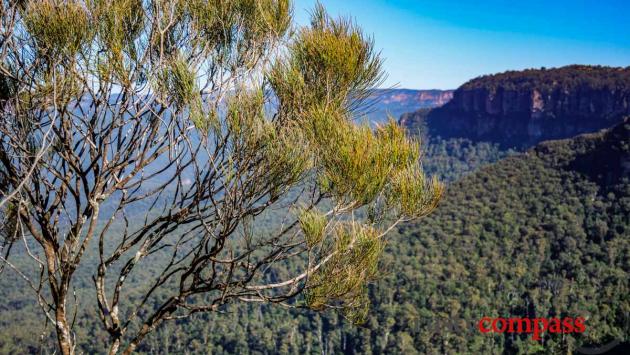 Wentworth Falls - Blue Mountains