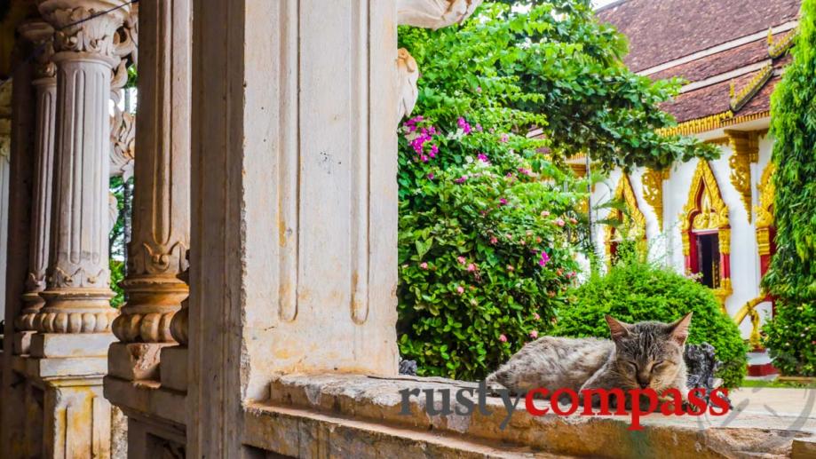 Wat Luang, Pakse, Laos