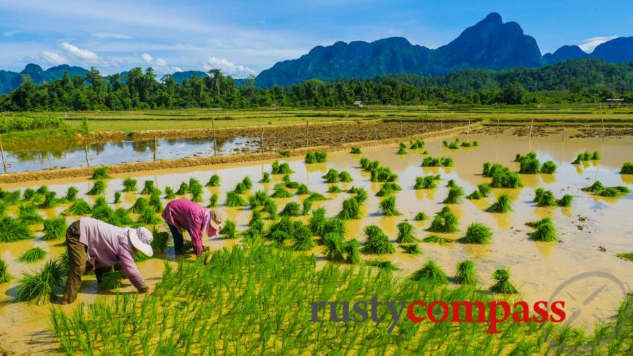 Vang Vieng Laos