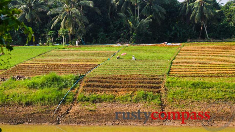 Rural Battambang.