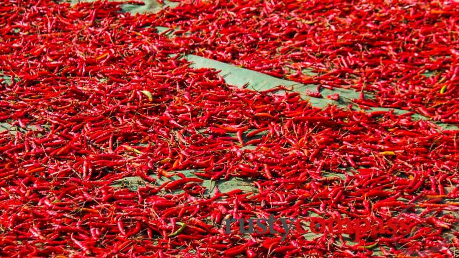 Hot chillies. Battambang.