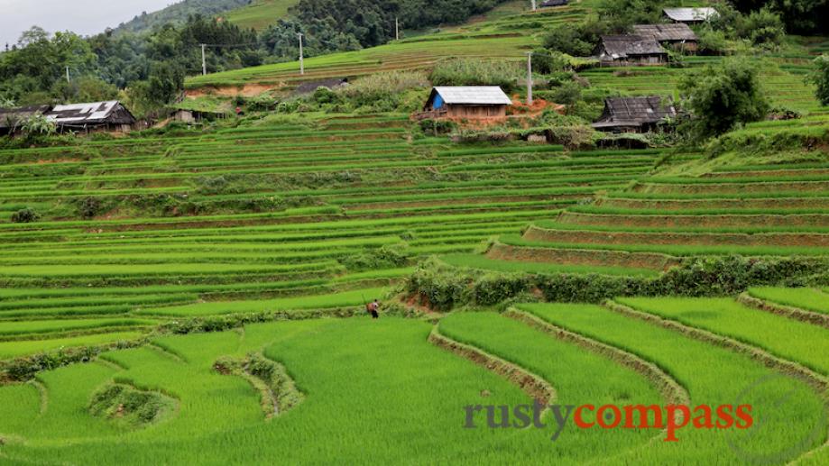 A typical Black Hmong village outside of Sapa