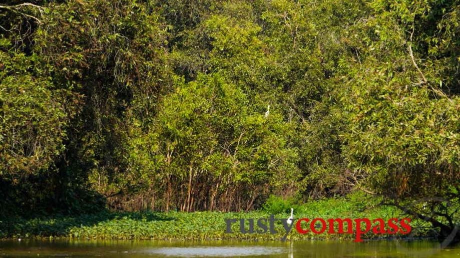 Tra Su bird sanctuary, is a beautiful and serene spot...