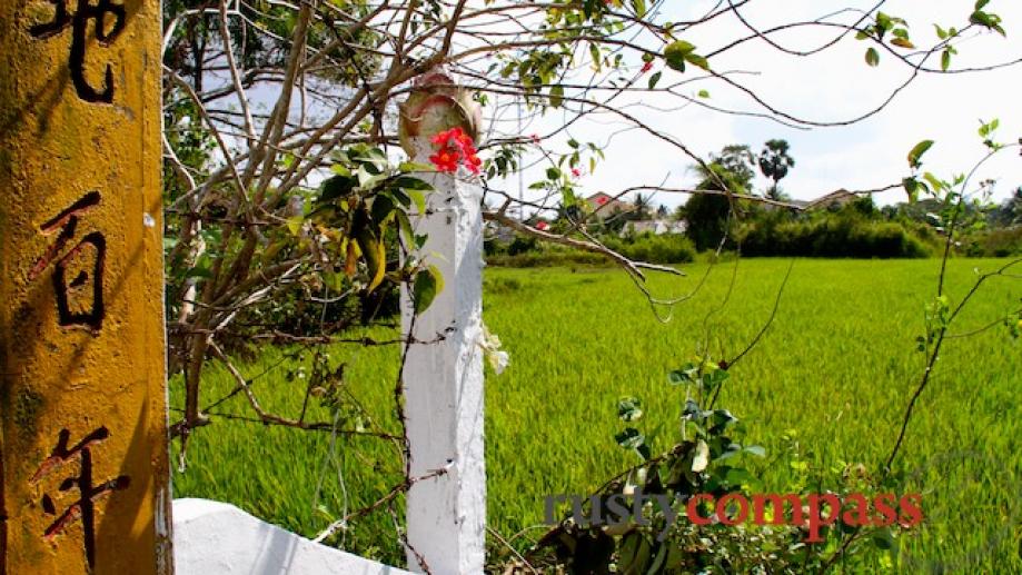 Tra Vinh, Mekong Delta. Cycling in the countryside around Ben...