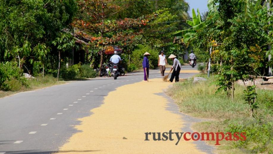 Tra Vinh, Mekong Delta. Rice dries on the side of...