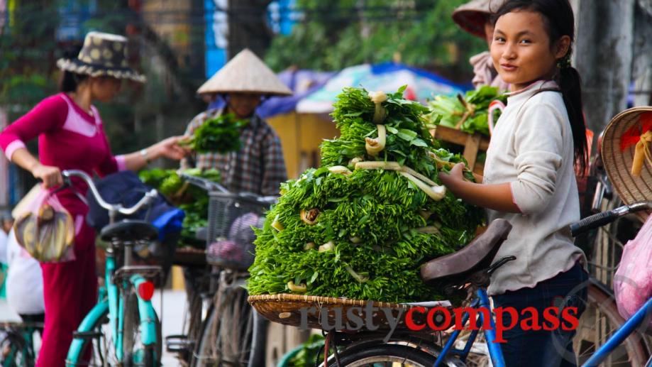 Kim Son town, Ninh Binh.