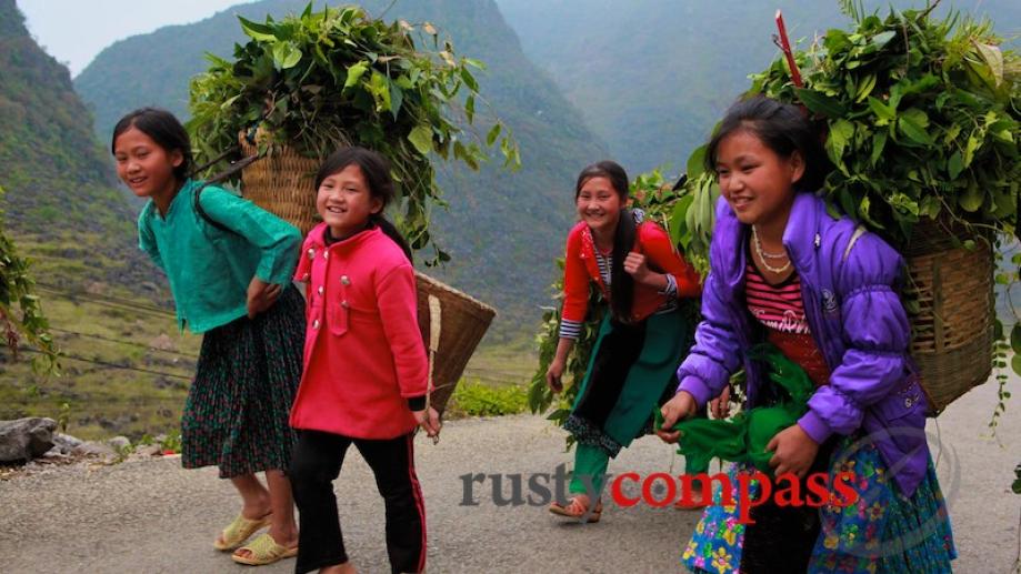 Ha Giang town to Dong Van, Ha Giang Province