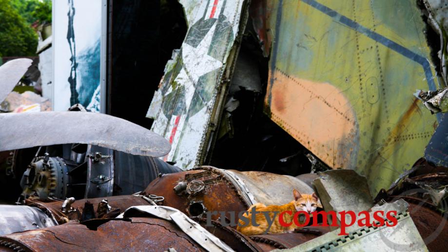 A cat rests among the wreckage of a B52.