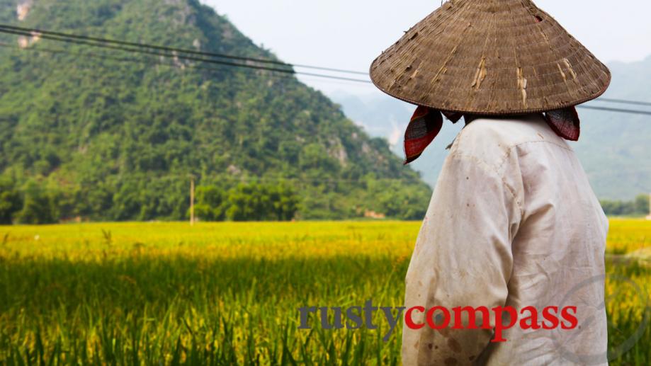 Mai Chau.