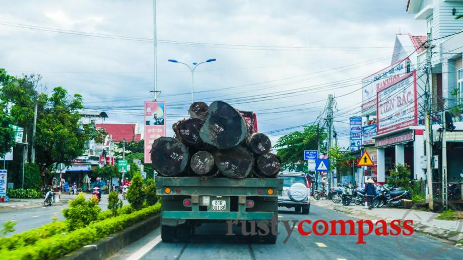 Vietnam's highlands have been comprehensively deforested. Loggers have turned their...