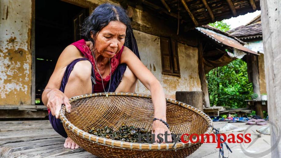 Ba Na woman cleaning snails, Kontum