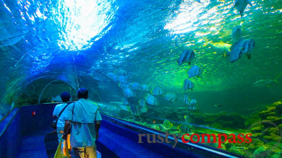 Aquarium - Vinpearl Island Nha Trang.