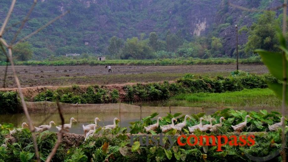 Cycling Ninh Binh