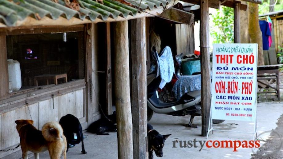 Ferocious dogs are part of the landscape in Old Lai Chau. Lucky...