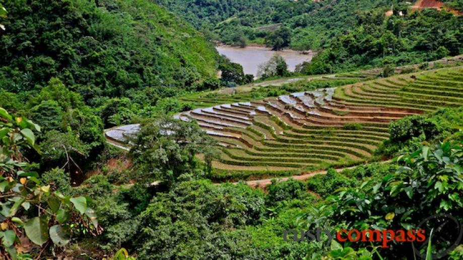 Rice terraces run down the raging river.