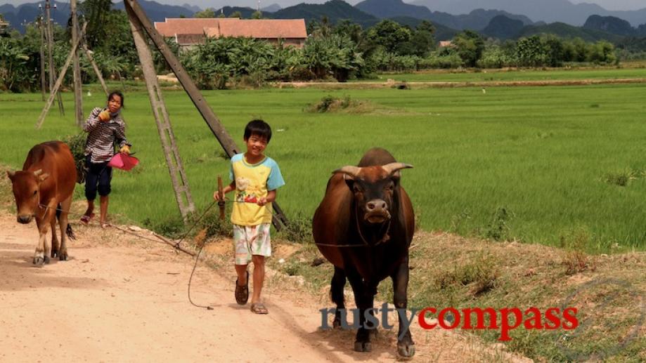 Near Phong Nha