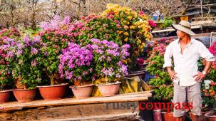 Tet in Saigon - the flower market at Ben Binh Dong