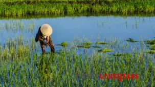 Cycling Hoi An - a video guide