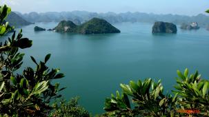 Cruising Halong Bay